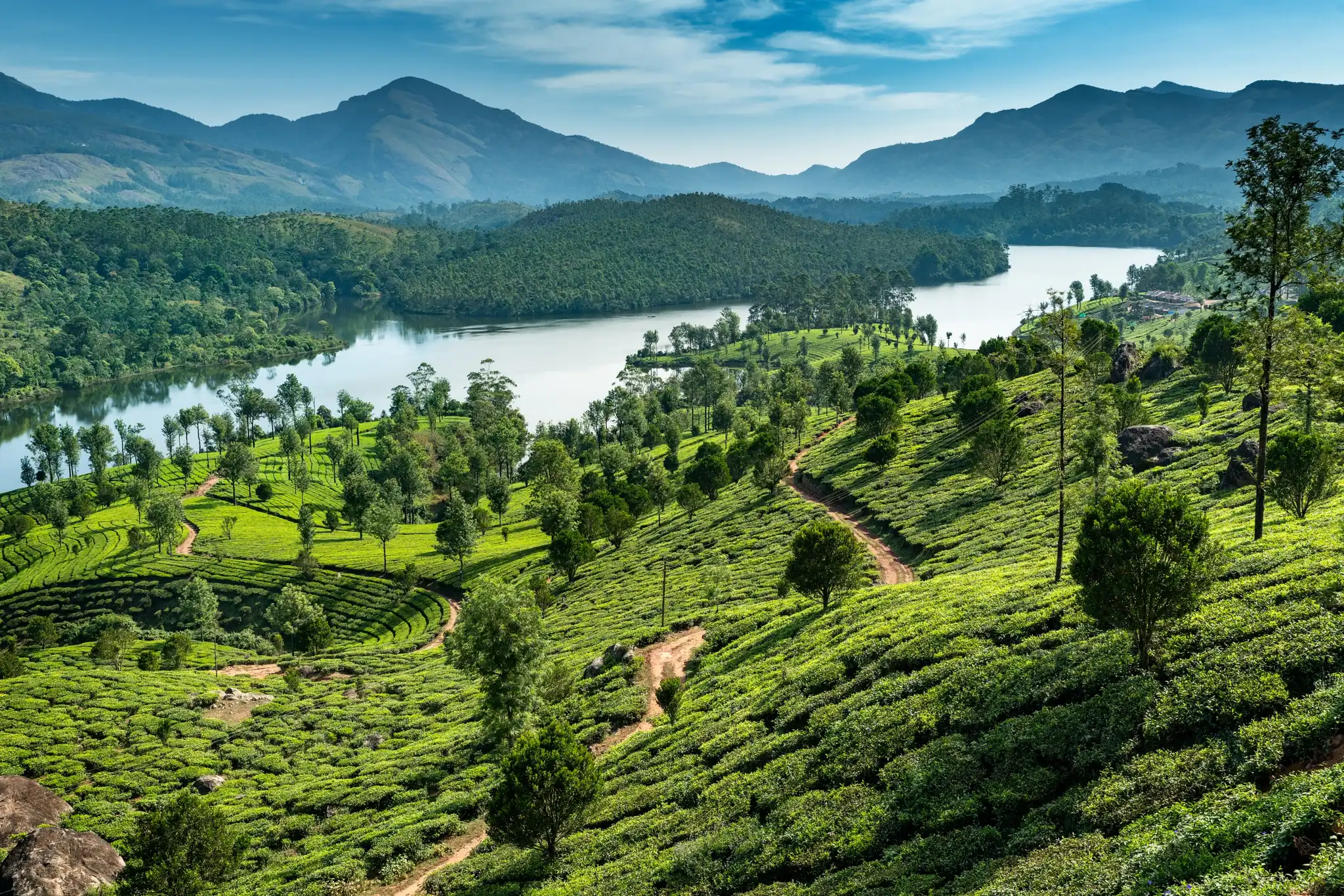 Cycling in South India: Tamil Nadu & Kerala 16 Days